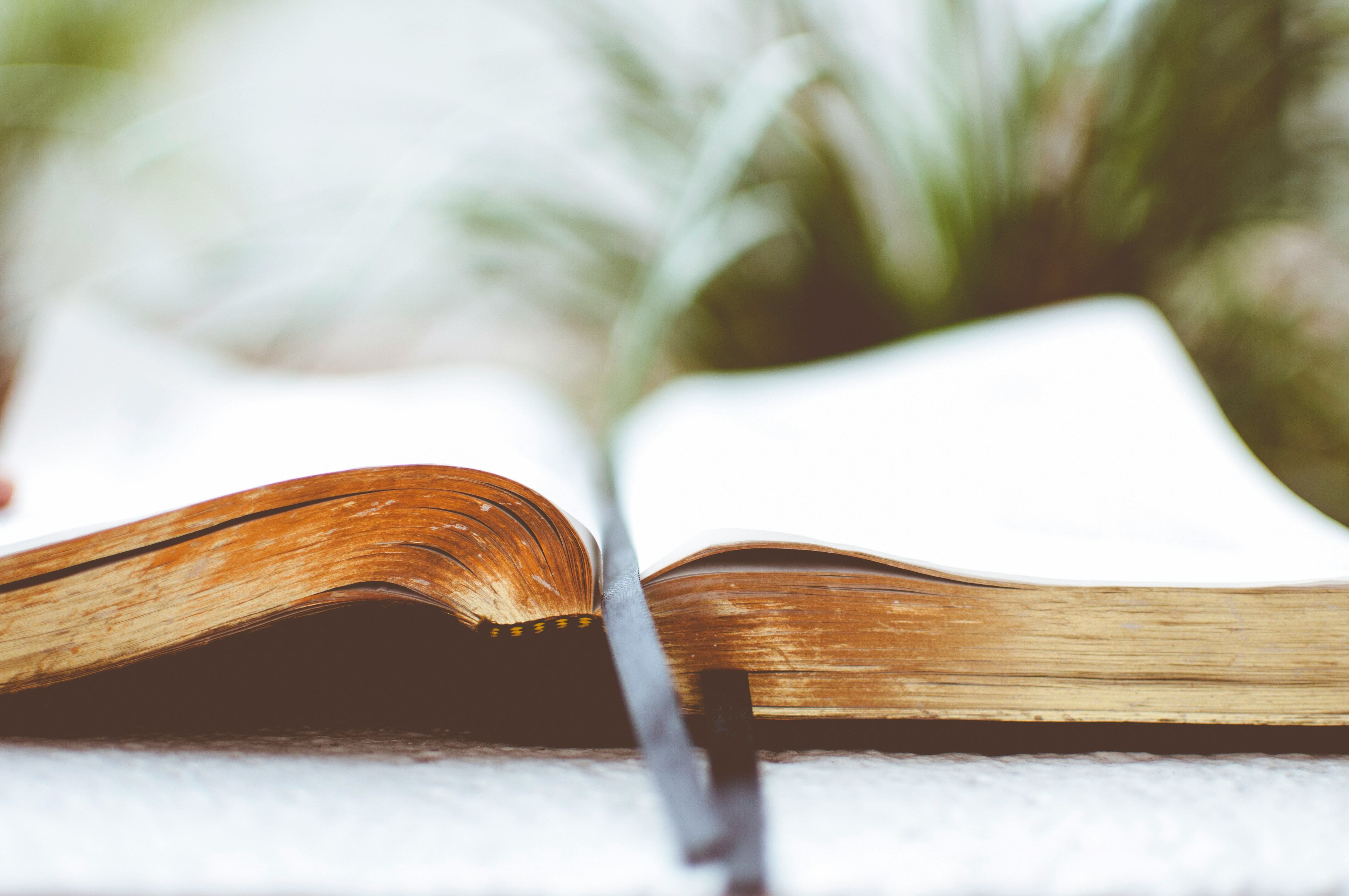 Revelation Chapter 14 – 16 In review